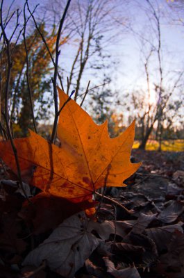 K3IM3001.jpg K3IM3001.jpg