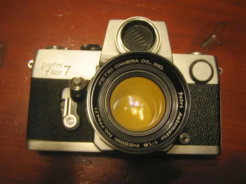 Petrifle7 01.webp