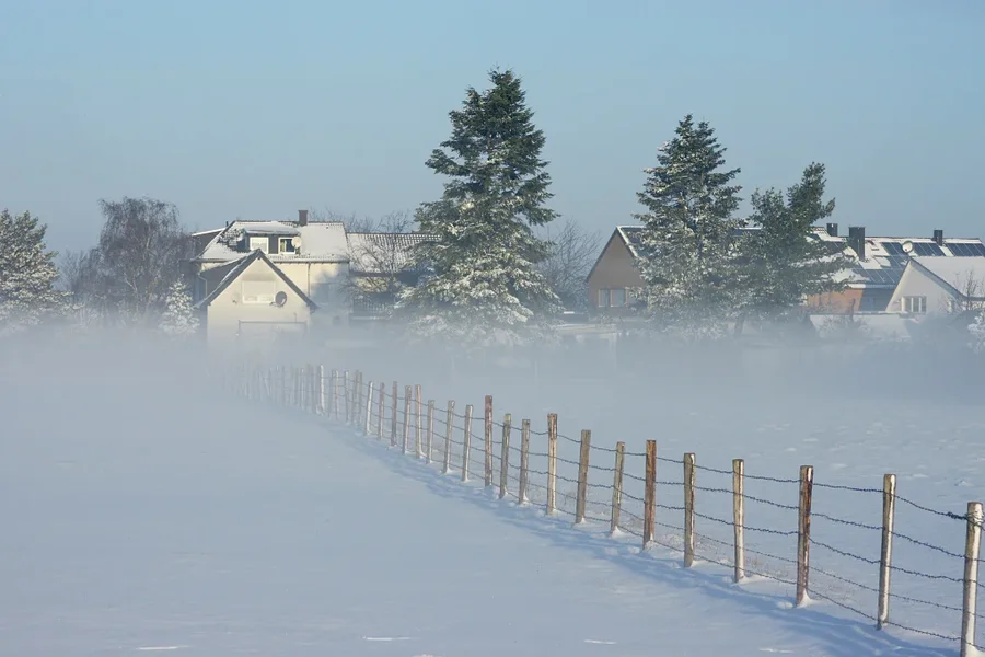 Winter 005 A7_28135.webp