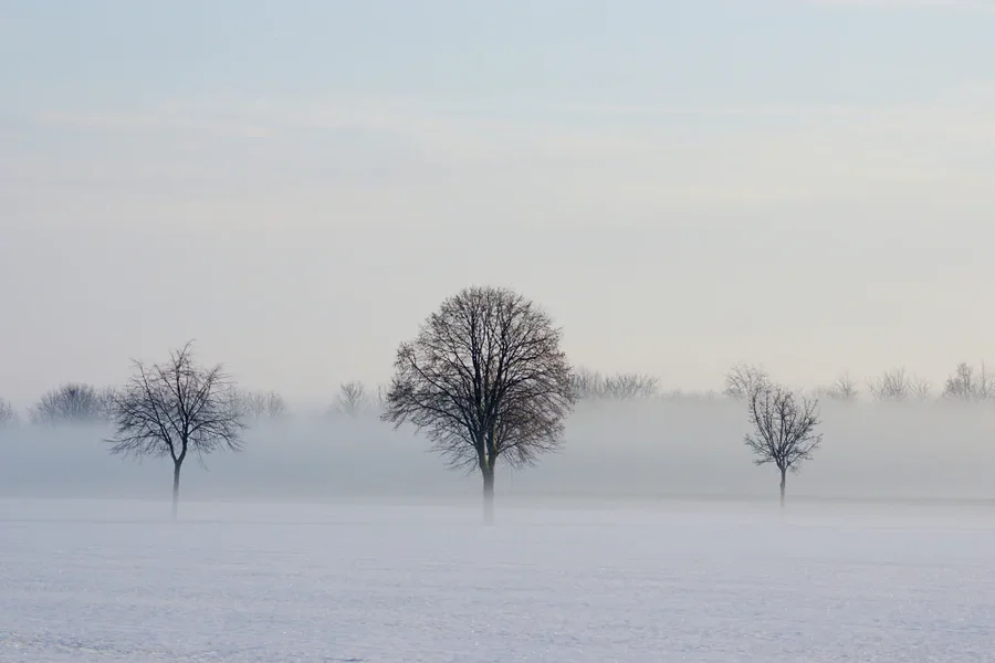 Winter 007 A7_28135.webp