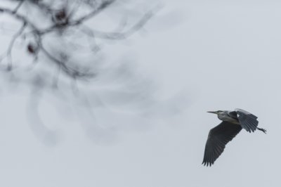 Dezember 2015.jpg Dezember 2015.jpg