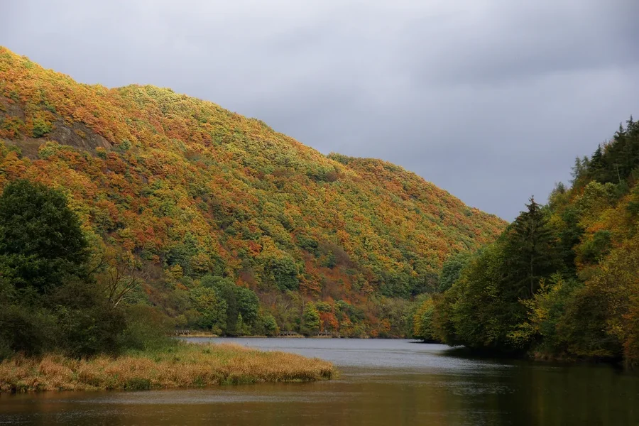 See Heimbach 004 A58_16105.webp