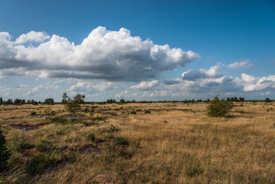 20150718_Schweden 2015_DSC_4957_610.jpg