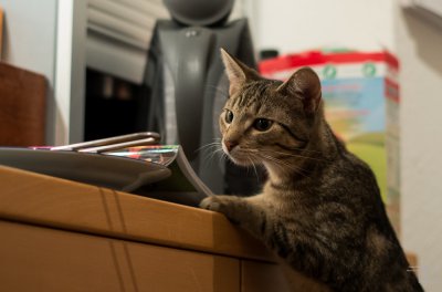 20151220-_IGP6909.jpg 20151220-_IGP6909.jpg