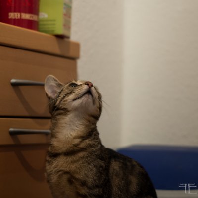 20151220-_IGP6911.jpg 20151220-_IGP6911.jpg