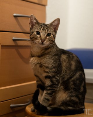 20151220-_IGP6915.jpg 20151220-_IGP6915.jpg