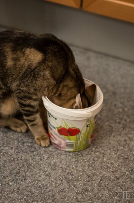 20151220-_IGP6920.jpg 20151220-_IGP6920.jpg