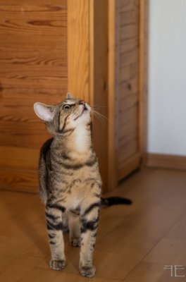 20151223-_IGP6950.jpg 20151223-_IGP6950.jpg