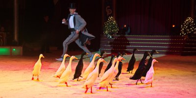 K3IM4459.jpg K3IM4459.jpg