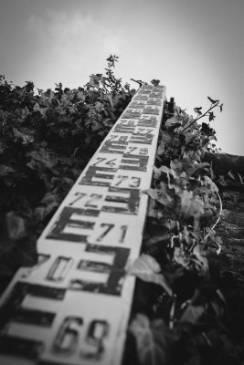 _DSC1772comp.jpg _DSC1772comp.jpg