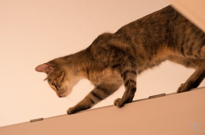 20151228-_IGP6968.jpg 20151228-_IGP6968.jpg