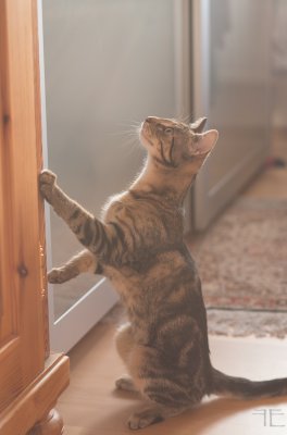 20151228-_IGP6974.jpg 20151228-_IGP6974.jpg