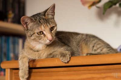 20151228-_IGP6980.jpg 20151228-_IGP6980.jpg