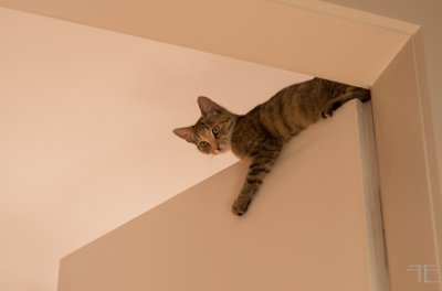 20151228-_IGP6992.jpg 20151228-_IGP6992.jpg