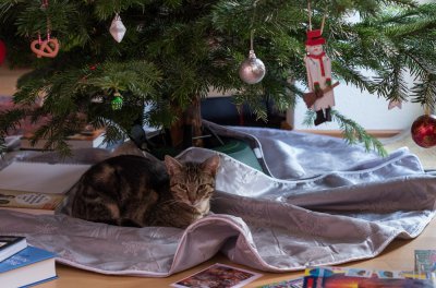 20151228-_IGP7002.jpg 20151228-_IGP7002.jpg