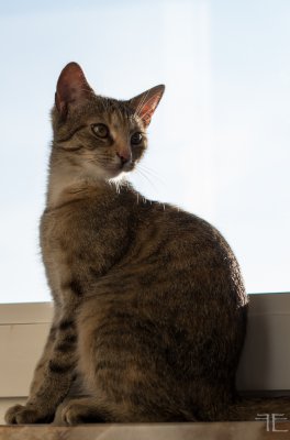 20151229-_IGP7012.jpg 20151229-_IGP7012.jpg