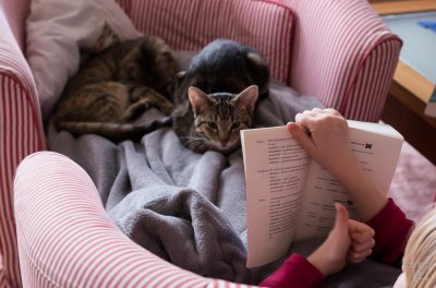 20151230-_IGP7016.jpg 20151230-_IGP7016.jpg