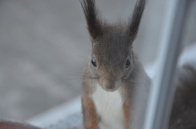 751_1-zu-5_Original_a.jpg 751_1-zu-5_Original_a.jpg