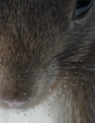 751_1-zu-1_DxO_Ausschnitt_Detail.jpg 751_1-zu-1_DxO_Ausschnitt_Detail.jpg