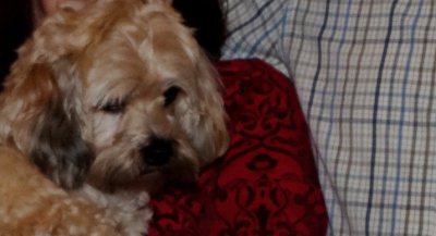 Foto-995_DxO_1-1-Ausschnitt_a.jpg Foto-995_DxO_1-1-Ausschnitt_a.jpg