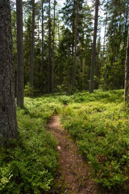 20150720_Schweden 2015_DSC_5181_788.jpg