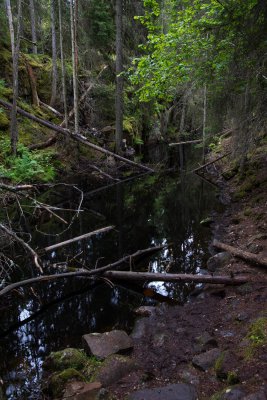 20150720_Schweden 2015_DSC_5135_751.jpg