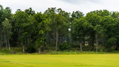 20150721_Schweden 2015_DSC_5335_925.jpg