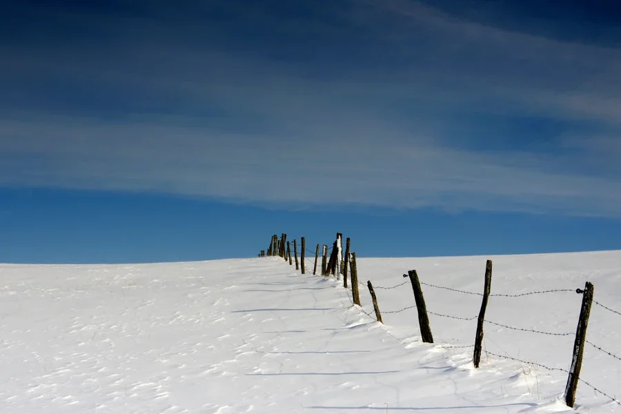 Winter 012 A7_2875.webp