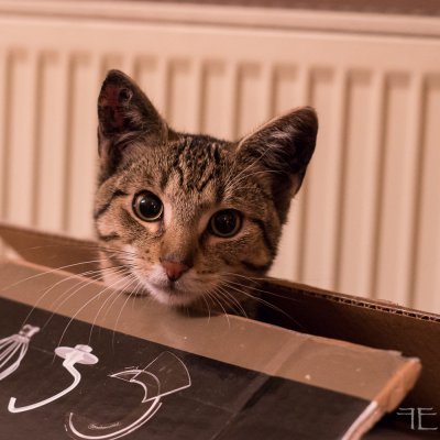 20160104-_IGP7025.jpg 20160104-_IGP7025.jpg