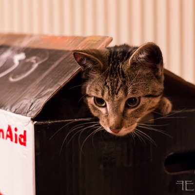 20160104-_IGP7039.jpg 20160104-_IGP7039.jpg