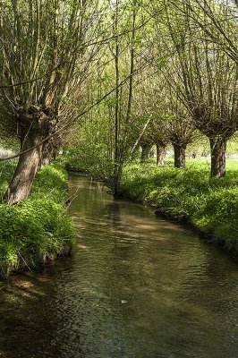 Januar 2016.jpg Januar 2016.jpg