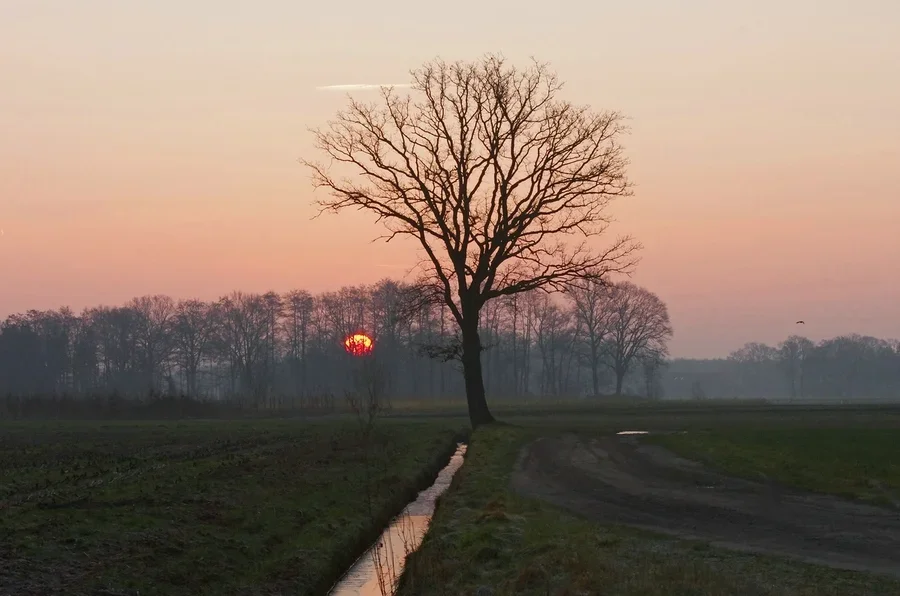 comp_comp_landscha7.webp