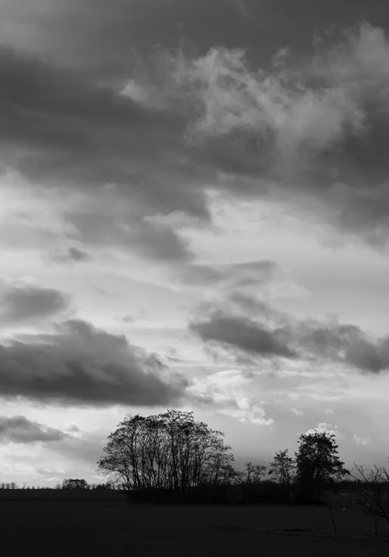 ci_K32_0082_sw.webp