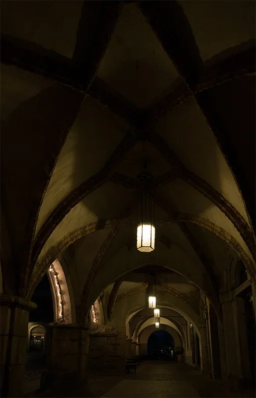 ci_SAM_5698.webp ci_SAM_5698.webp