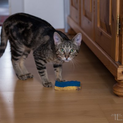 20160117-_IGP7058.jpg 20160117-_IGP7058.jpg