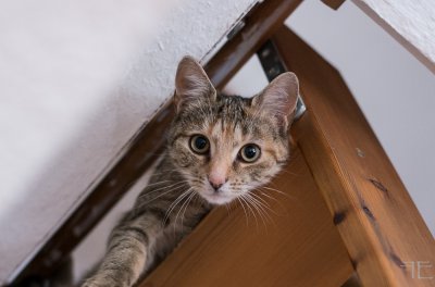 20160120-_IGP7067.jpg 20160120-_IGP7067.jpg