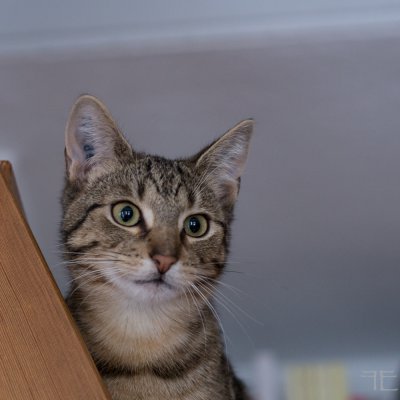 20160120-_IGP7070.jpg 20160120-_IGP7070.jpg