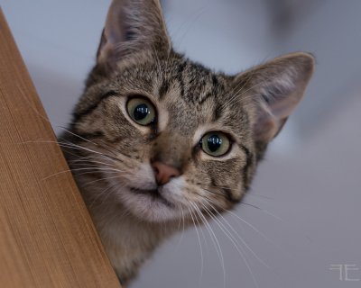 20160120-_IGP7078.jpg 20160120-_IGP7078.jpg