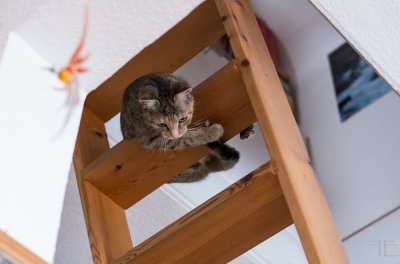 20160120-_IGP7083.jpg 20160120-_IGP7083.jpg