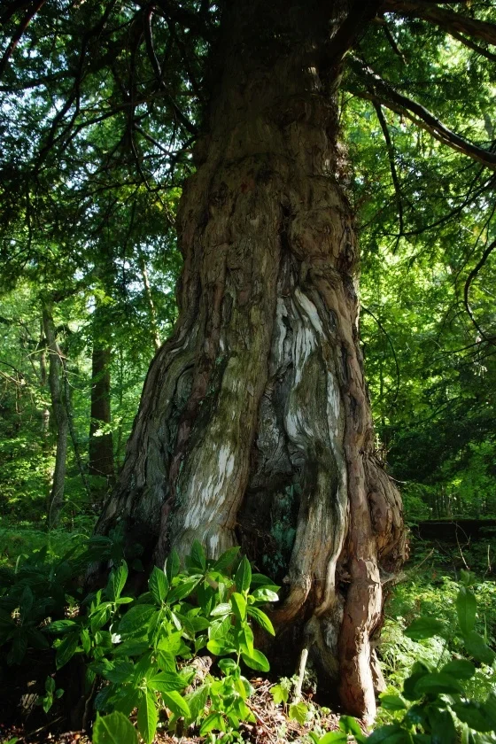 DSCF8704_1k.webp