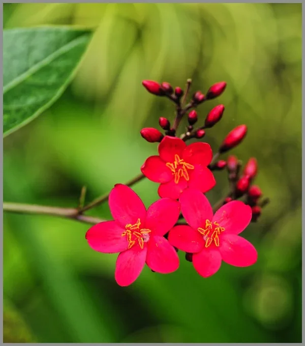 _small_Kalifornien-Hawaii 2015 308_DxO.webp