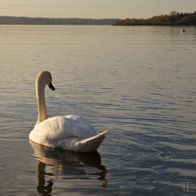 IMGP3005.jpg IMGP3005.jpg