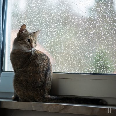 20160130-_IGP7244.jpg