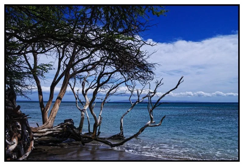_small_Kalifornien-Hawaii 2015 275_DxO.webp