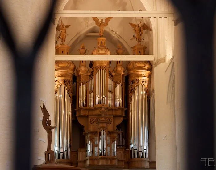 IMGP8754_DxOPsp.webp