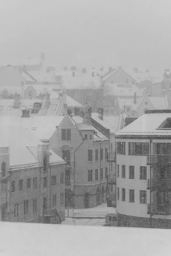 lesund s-w.webp