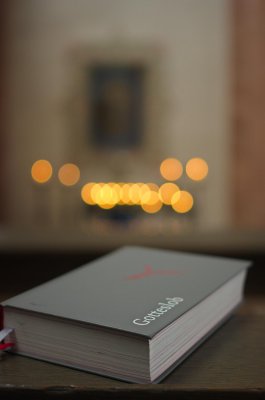 IMGP6220.jpg IMGP6220.jpg