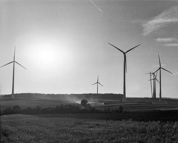 TRI X (5)comp.webp