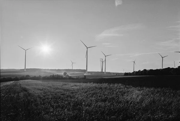 TRI X (8)comp.webp