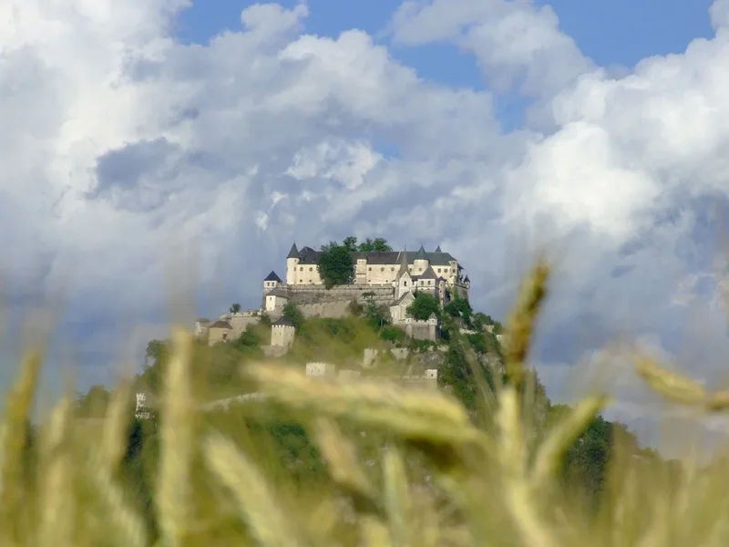 Hochosterwitz_20080630_04_kl.webp